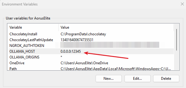 Setting Environment variable