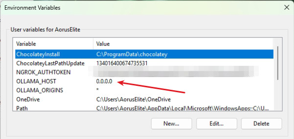 Setting Environment variable